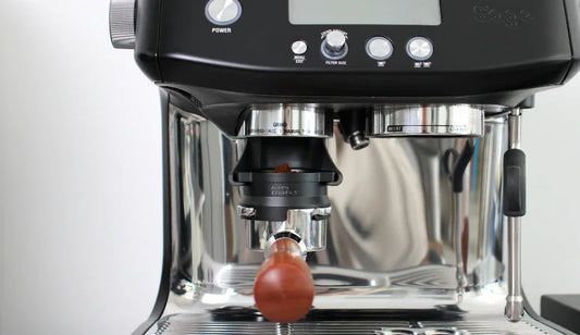 De belangrijkste Sage accessoires: Onze top 8