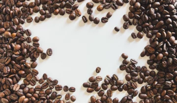 Arabica vs robusta: wat is het verschil tussen deze soorten koffiebonen?
